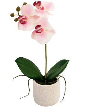 De Kunst Orchidee Real Touch 30 cm roze/wit heeft drie lichtroze bloemen en groene bladeren in een eenvoudige witte pot, perfect om elke ruimte op te fleuren.