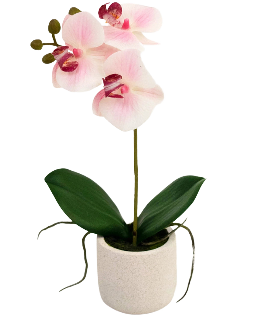 De Kunst Orchidee Real Touch 30 cm roze/wit heeft drie lichtroze bloemen en groene bladeren in een eenvoudige witte pot, perfect om elke ruimte op te fleuren.