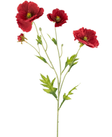 Aquarel illustratie van de Kunst Klaproos Real Touch Rood 65cm: een enkele steel met vier bloeiende rode klaproos bloemen en groene bladeren op een witte achtergrond.
