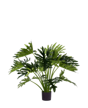 De Kunstplant Philodendron UV 90 cm heeft grote, diep gelobde groene bladeren in een pot, perfect als onderhoudsarme kamerplant om binnenshuis groen toe te voegen. Tegen een witte achtergrond geeft hij een natuurlijke stijl zonder onderhoud.