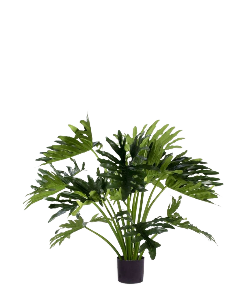 De Kunstplant Philodendron UV 90 cm heeft grote, diep gelobde groene bladeren in een pot, perfect als onderhoudsarme kamerplant om binnenshuis groen toe te voegen. Tegen een witte achtergrond geeft hij een natuurlijke stijl zonder onderhoud.