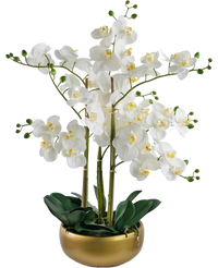 Orchidée artificielle Real Touch 50 cm en pot doré