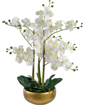 De Kunst Orchidee Real Touch 50 cm wit heeft levensechte witte orchideeën met gele hartjes en groene knoppen, allemaal gerangschikt met groene bladeren in een stijlvolle gouden pot.