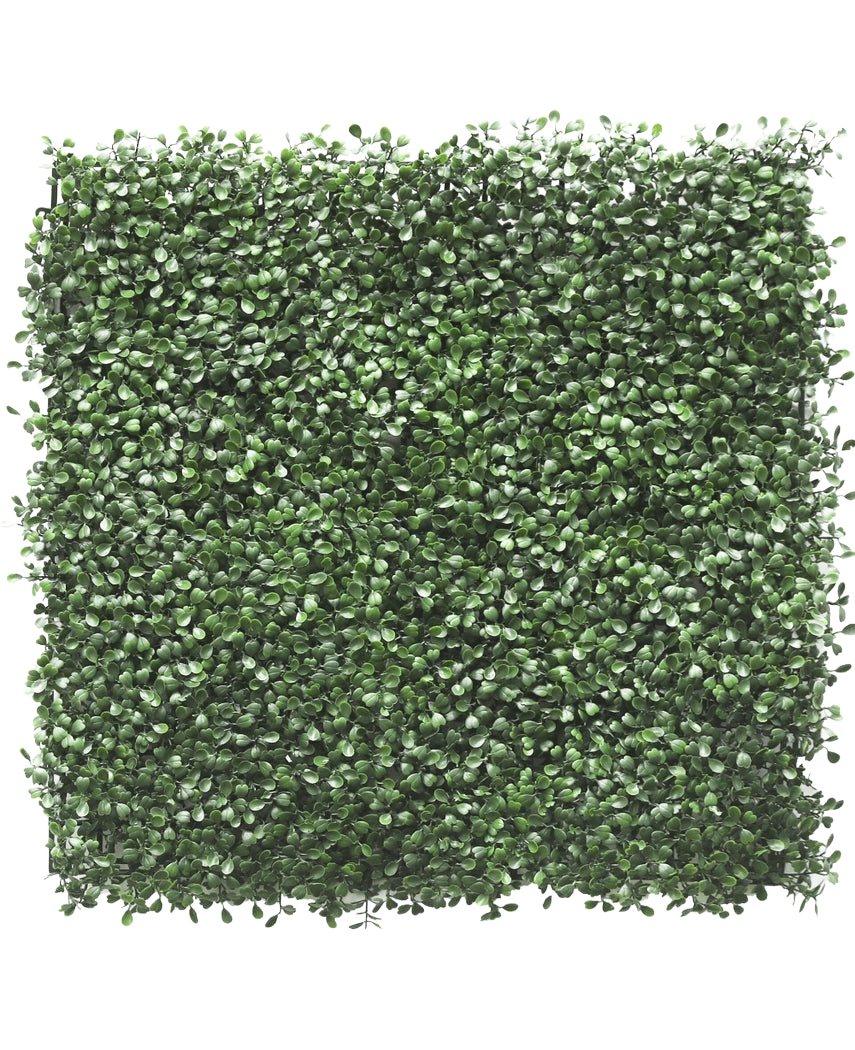 De Kunsthaag Buxus 50x50 cm UV heeft dicht opeengepakte kunstgroene bladeren en creëert zo een weelderige haag of verticale tuinlook, perfect om elke ruimte op te fleuren.