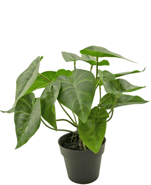 De Kunstplant Swan 27 cm is een kunstmatige Alocasia in pot met grote, glanzend groene pijlvormige bladeren en prominente nerven, weergegeven in een eenvoudige zwarte pot tegen een witte achtergrond.