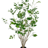 De Kunstplant Ficus 120 cm is een hoge kunstplant in pot met meerdere slanke bruine stengels en weelderige groene bladeren, in een compacte zwarte pot tegen een effen witte achtergrond.