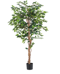 Plante artificielle Ficus Vert 180 cm
