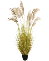 De Kunst Pampasgras 200 cm brandvertragend heeft vederlichte beige pluimen en groengele bladeren in een zwarte pot. Deze elegante kunstgrasplant voegt blijvende natuurlijke schoonheid en brandvertragende veiligheid toe aan elke ruimte.