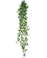 Plante suspendue artificielle Lierre Boston 180 cm vert