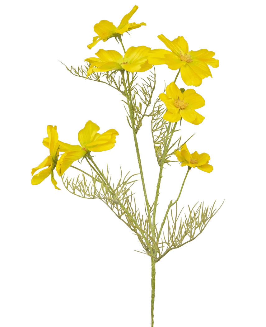 De Kunstbloem Cosmos 74 cm geel heeft heldergele bloemen en delicate, vederlichte groene bladeren op slanke stelen - perfect om een boeket te maken tegen een effen witte achtergrond.