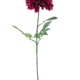 De Kunstbloem Dahlia Real Touch Paars 72 cm heeft een enkele paarse dahlia met gelaagde bloemblaadjes en een lange groene steel met verschillende bladeren, tegen een effen witte achtergrond.