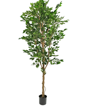 De Kunstplant Ficus Groen 240 cm is een hoge kunstboom met groene bladeren en een gedraaide stam, in een kleine zwarte pot.