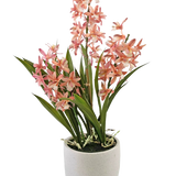 De Kunstplant Cymbidium 58 cm roze heeft hoge groene bladeren en trossen roze en witte orchideeënbloemen, gerangschikt in een eenvoudige pot van wit keramiek, perfect om elke ruimte op te fleuren.