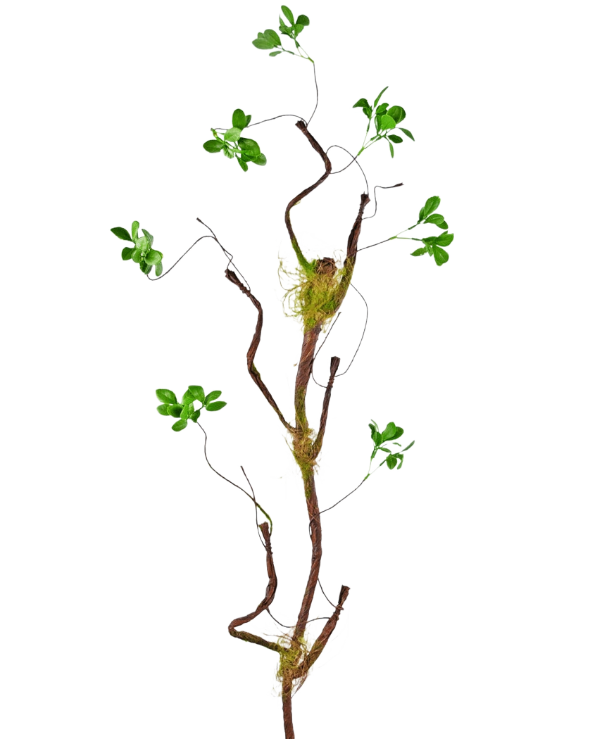 De Kunsttak Enkianthus 100 cm groen, een slanke kunstliaan met kleine groene blaadjes en mosaccenten, staat tegen een effen witte achtergrond.