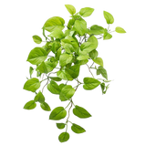 De Kunst Pothos Struik Deluxe 60cm heeft levendige groene, ovale bladeren op slepende stelen, die lijken op een pothosplant, elegant weergegeven tegen een effen witte achtergrond.