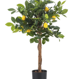 De Kunstplant citroenboom 75 cm is een kleine kunstcitroenboom met een bruine stam, groene bladeren en verschillende gele nepcitroenen tegen een effen witte achtergrond.