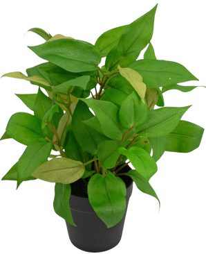 De Kunstplant "House Wanderer" in pot 25 cm heeft levendige groene bladeren in een eenvoudige zwarte pot, tegen een effen witte achtergrond.