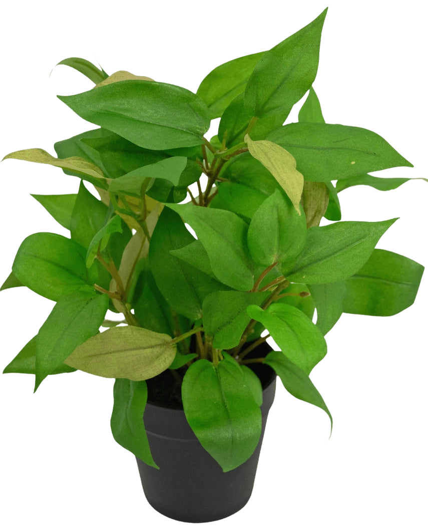 De Kunstplant "House Wanderer" in pot 25 cm heeft levendige groene bladeren in een eenvoudige zwarte pot, tegen een effen witte achtergrond.