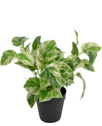 Plante artificielle Vigne Dorée en Pot 35cm