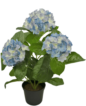 De Kunstplant Hortensia Blauw 35 cm is een kunsthortensia in pot met grote blauwe en lichtgele bloemtrossen en brede groene bladeren tegen een witte achtergrond.