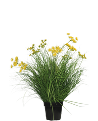Plante de gazon artificiel Asteraceae 70 cm ignifuge