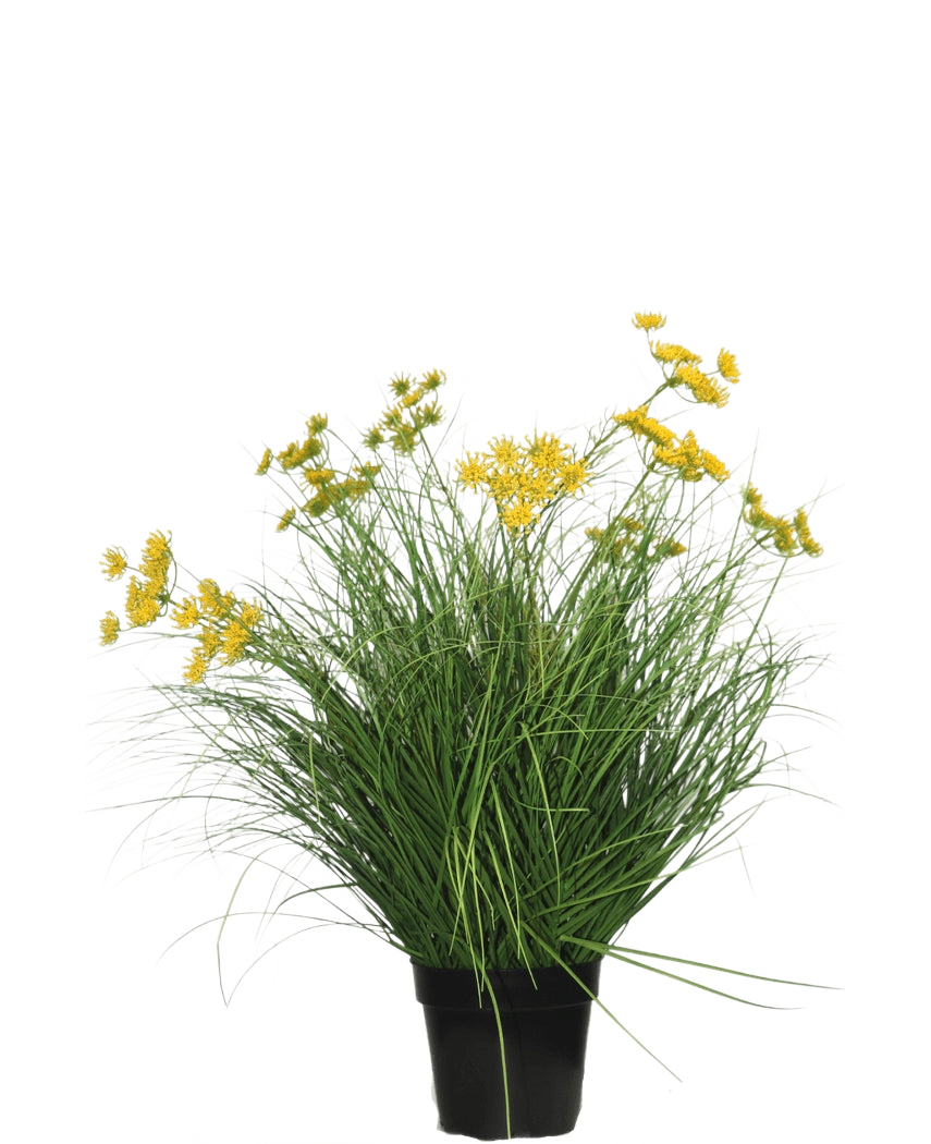 De Kunst Grasplant Asteraceae 70 cm brandvertragend heeft lange, dunne groene bladeren en trossen kleine gele bloemen in een zwarte pot, wat een onderhoudsvriendelijke kunstgrasplant is tegen een effen witte achtergrond.