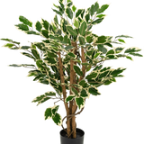 Kunstplant Ficus Groen/wit 90 cm met bruine stammen en groene bladeren met witte randen, getoond tegen een effen witte achtergrond.