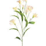 De Kunst Rhododendron Azalea Real Touch Crème/roze 80cm heeft een enkele groene stengel met vertakkende, slanke bladeren en delicate crèmeroze bloemen, prachtig tegen een effen witte achtergrond.