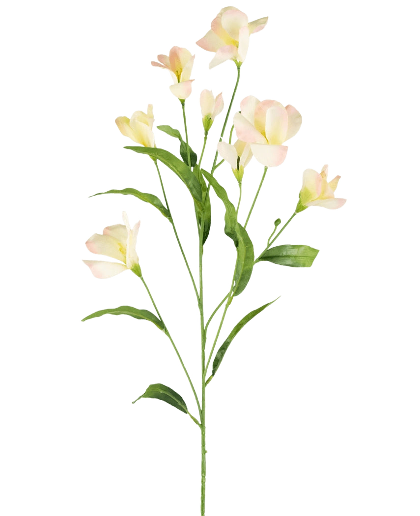 De Kunst Rhododendron Azalea Real Touch Crème/roze 80cm heeft een enkele groene stengel met vertakkende, slanke bladeren en delicate crèmeroze bloemen, prachtig tegen een effen witte achtergrond.