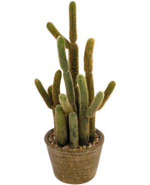 De Kunst Cactus Cereus 35 cm heeft meerdere lange, groene donzige stengels van verschillende hoogtes, die omhoog en naar buiten groeien vanuit een ronde bruine pot gevuld met kleine steentjes.