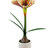 De Kunstbloem Amaryllis Real Touch Rood/geel 48 cm heeft levensechte groene bladeren en een hoge steel met trompetvormige rode en gele bloemen, prachtig gepresenteerd tegen een witte achtergrond.