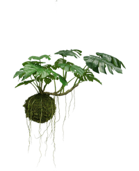 Plante artificielle suspendue Monstera Deluxe 60 cm