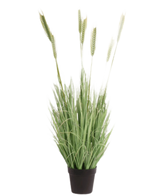In een zwarte pot zit de Kunst Grasplant Groen 130 cm brandvertragend-hoog, groen, vlamvertragend kunstgras met tarwe-achtige aren-ideaal voor een sfeervolle inrichting.
