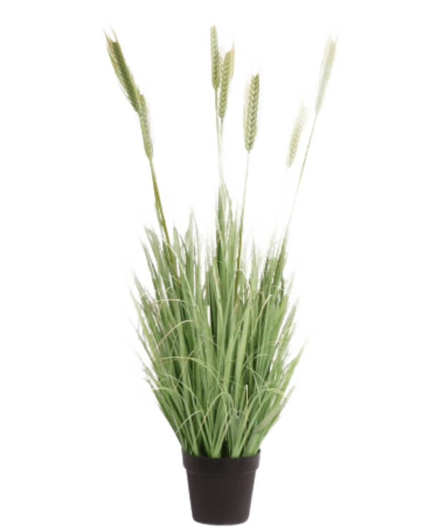 De Kunst Grasplant Groen 130 cm brandvertragend heeft lange, slanke groene bladeren en lange, tarwe-achtige stengels in een kleine zwarte pot, tegen een witte achtergrond.