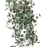 De Kunst Klimop Deluxe Rijk Groen-wit 90 cm heeft weelderige groene en witte gelobde bladeren op slepende stelen, die prachtig afsteken tegen een effen witte achtergrond.