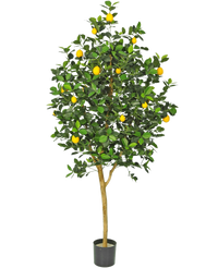 Plante artificielle Citronnier 150 cm