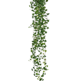 De Kunst hangplant Klimop deluxe 180 cm groen is een lange kunst klimop met veel kleine groene blaadjes, verticaal hangend tegen een effen witte achtergrond.