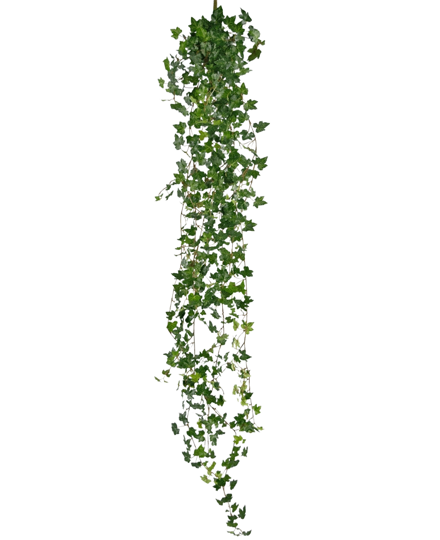 De Kunst hangplant Klimop deluxe 180 cm groen is een lange kunst klimop met veel kleine groene blaadjes, verticaal hangend tegen een effen witte achtergrond.