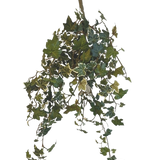 De Kunst Klimop Deluxe Groen-wit 60cm is een hangende kunstklimop plant met trapsgewijze groene en witte bonte bladeren, tegen een effen witte achtergrond.