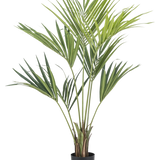 De Kunstplant Kentia Palm 120 cm heeft lange, groene, slanke bladeren en wordt geleverd in een kleine zwarte pot, tegen een effen witte achtergrond.