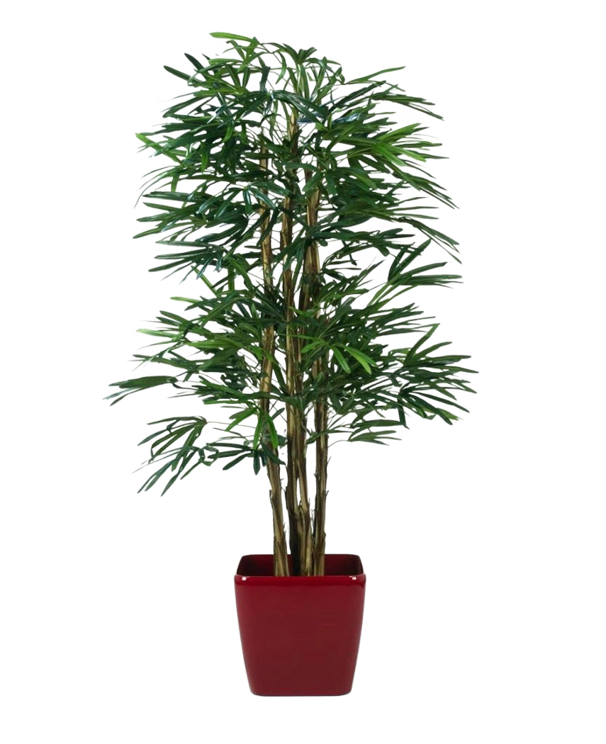 De Lady Kunstpalm 180 cm is een hoge kunstpalm met meerdere groene bladstelen, weergegeven in een glanzende rode vierkante plantenbak tegen een effen witte achtergrond.