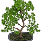 De Kunstplant Bonsai Juniper 30 cm heeft dicht heldergroen blad en een gedraaide stam, in een ondiepe grijze pot met donkere aarde, tegen een effen witte achtergrond.
