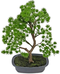 Plante artificielle Bonsaï Genévrier 30 cm