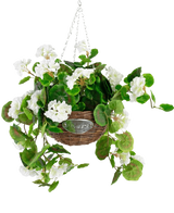 De Kunst begonia Wit in Mand UV 70cm is een hangende rieten mand met groene bladeren en witte begonia bloemen, opgehangen aan zilveren kettingen tegen een witte achtergrond.