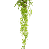 De Kunst hangplant Varen Deluxe 150 cm heeft lange, groene bladeren die naar beneden vallen, tegen een effen witte achtergrond.