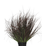 De Kunst Grasplant Gazon 50 cm brandvertragend wordt geleverd in een zwarte plastic pot, met stekelig siergras met lange, dunne, donkerpaarse en groene bladeren - perfect voor interieurdecoratie - op een witte achtergrond.