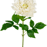 Een Kunst Georgine Real Touch wit 70cm heeft een levensechte enkele witte dahlia met gelaagde bloemblaadjes en groen gekartelde bladeren op een lange steel, tegen een effen witte achtergrond.