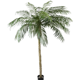 De Kunstpalm Phoenix De Luxe 250 cm heeft een gestructureerde stam en lange, gebogen groene bladeren in een kleine zwarte pot, tegen een effen witte achtergrond.