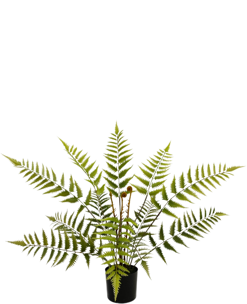 De Kunstplant Varen 68 cm heeft lange, vederlichte groene varenbladeren en wordt geleverd in een compacte zwarte pot, hier afgebeeld tegen een effen witte achtergrond.