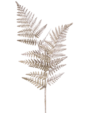 De Kunsttak Asparagus 125 cm zilver heeft drie delicate, lichtbruine varenranken met kanten blaadjes en slanke stengels, prachtig geïsoleerd op een witte achtergrond.